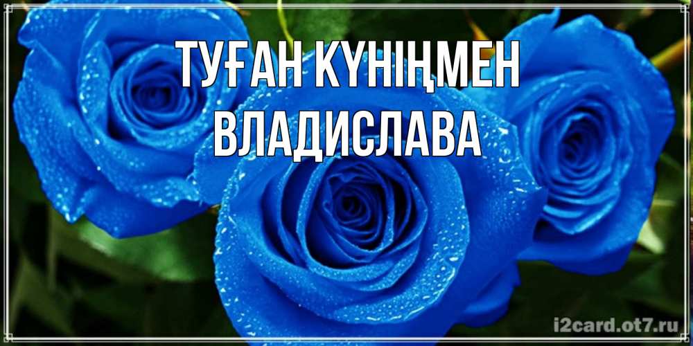 Күн сайын ашық хат с именем, Владислава Туған күніңмен розы с синим цветом Онлайн тегін жүктеп алу тілектері бар керемет карта 