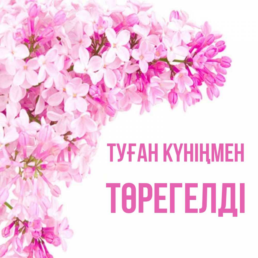 Күн сайын ашық хат с именем, Төрегелді Туған күніңмен Сирень на белом фоне Онлайн тегін жүктеп алу тілектері бар керемет карта 