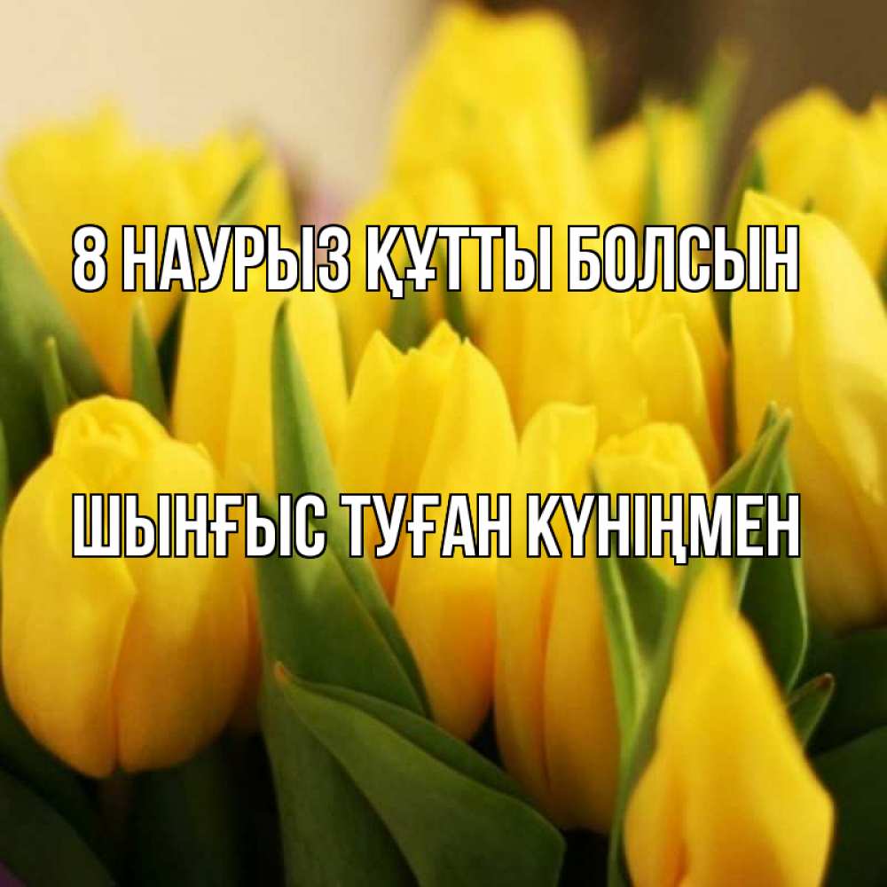 Картинка 8 наурыз құтты болсын, ШЫНҒЫС! ТУҒАН КҮНІҢМЕН!