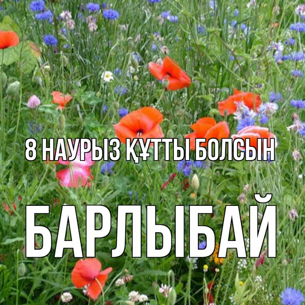 Күн сайын ашық хат с именем, Барлыбай 8 наурыз құтты болсын международный женский день 4 Онлайн тегін жүктеп алу тілектері бар керемет карта 