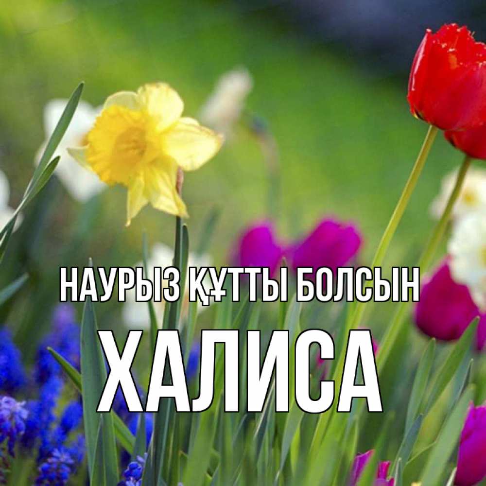 Күн сайын ашық хат с именем, ХАЛИСА Наурыз құтты болсын наурыз  3 открытки Онлайн тегін жүктеп алу тілектері бар керемет карта 