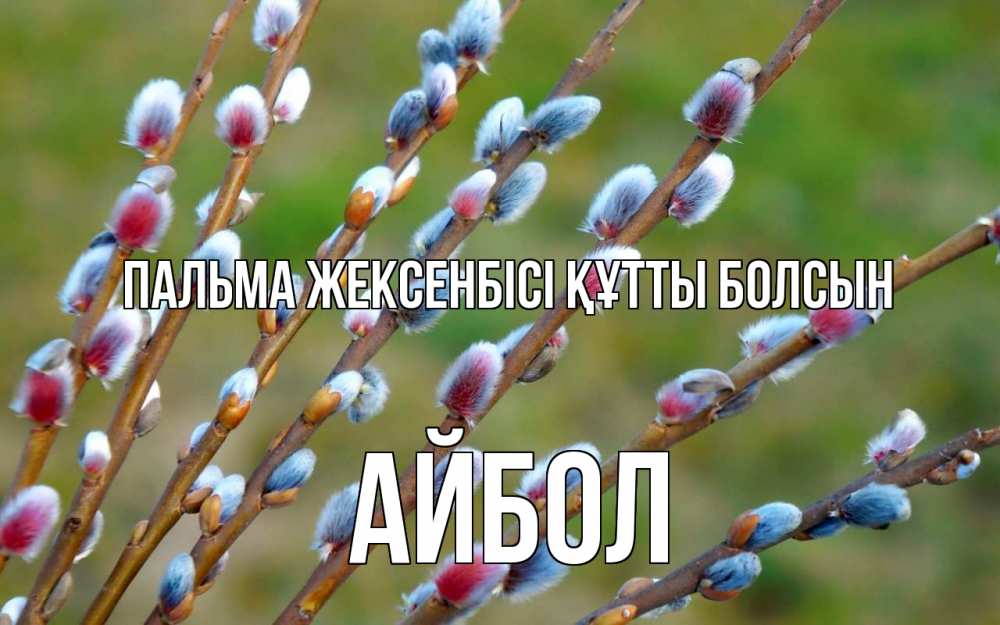 Күн сайын ашық хат с именем, Айбол Пальма жексенбісі құтты болсын верба Онлайн тегін жүктеп алу тілектері бар керемет карта 