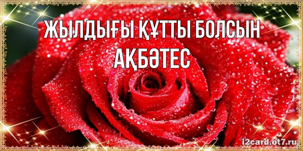 Күн сайын ашық хат с именем, АҚБӘТЕС Жылдығы құтты болсын роса и роза. открытка с красивой розой Онлайн тегін жүктеп алу тілектері бар керемет карта 