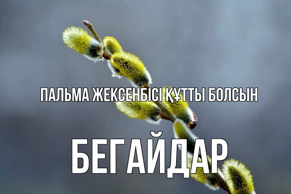 Күн сайын ашық хат с именем, Бегайдар Пальма жексенбісі құтты болсын верба Онлайн тегін жүктеп алу тілектері бар керемет карта 