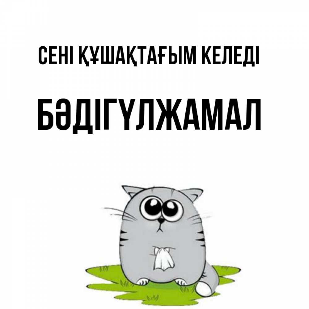 Күн сайын ашық хат с именем, БӘДІГҮЛЖАМАЛ сені құшақтағым келеді котик теребит платочек сидя на травке Онлайн тегін жүктеп алу тілектері бар керемет карта 
