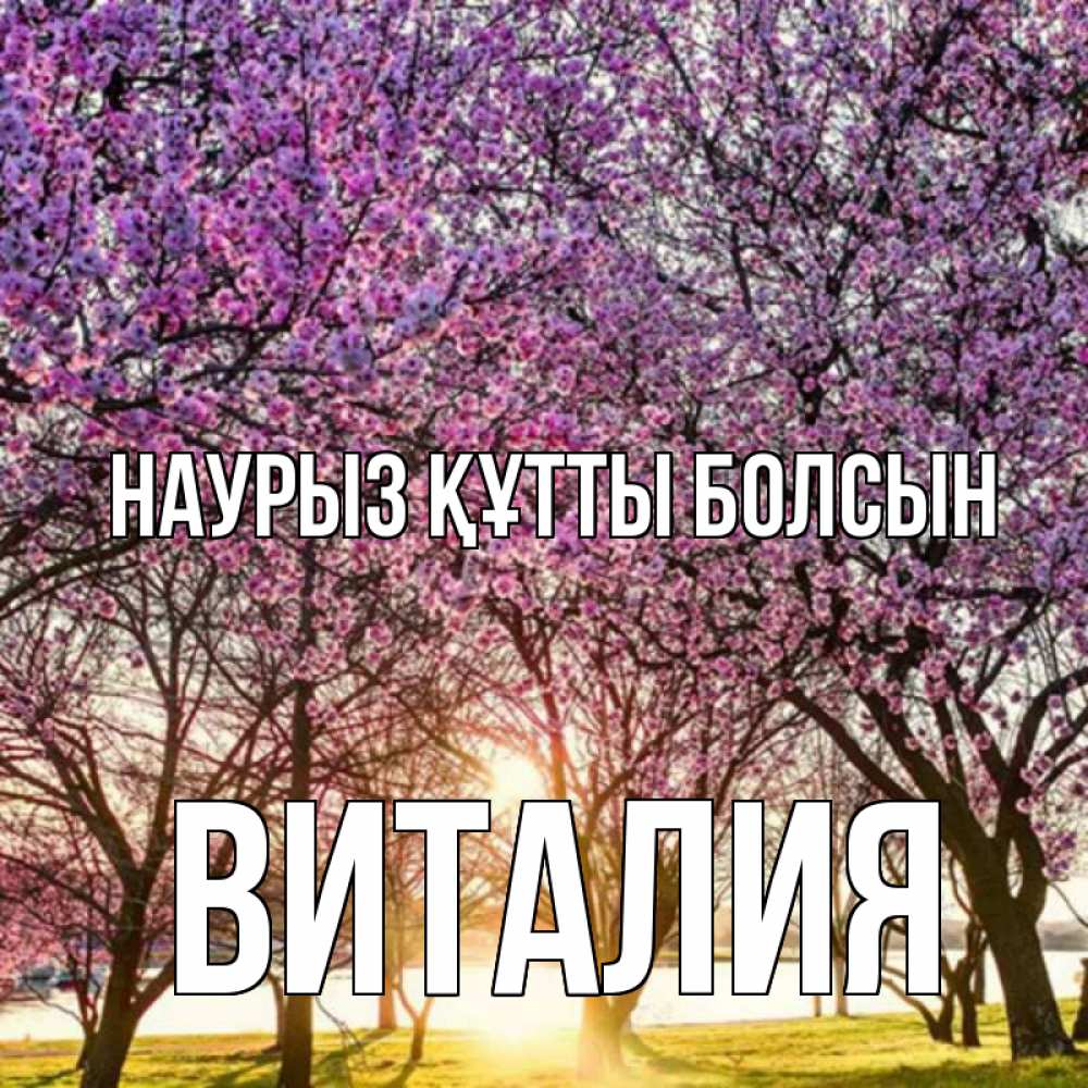 Күн сайын ашық хат с именем, Виталия Наурыз құтты болсын наурыз Онлайн тегін жүктеп алу тілектері бар керемет карта 