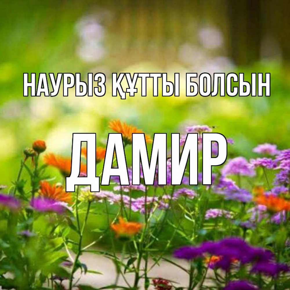 Күн сайын ашық хат с именем, Дамир Наурыз құтты болсын цветы Онлайн тегін жүктеп алу тілектері бар керемет карта 