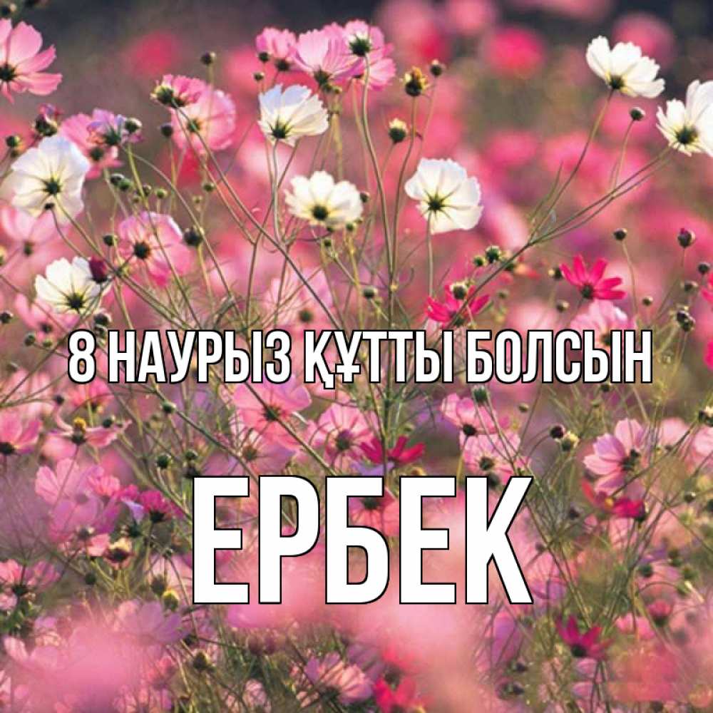 Күн сайын ашық хат с именем, Ербек 8 наурыз құтты болсын красиво 1 Онлайн тегін жүктеп алу тілектері бар керемет карта 