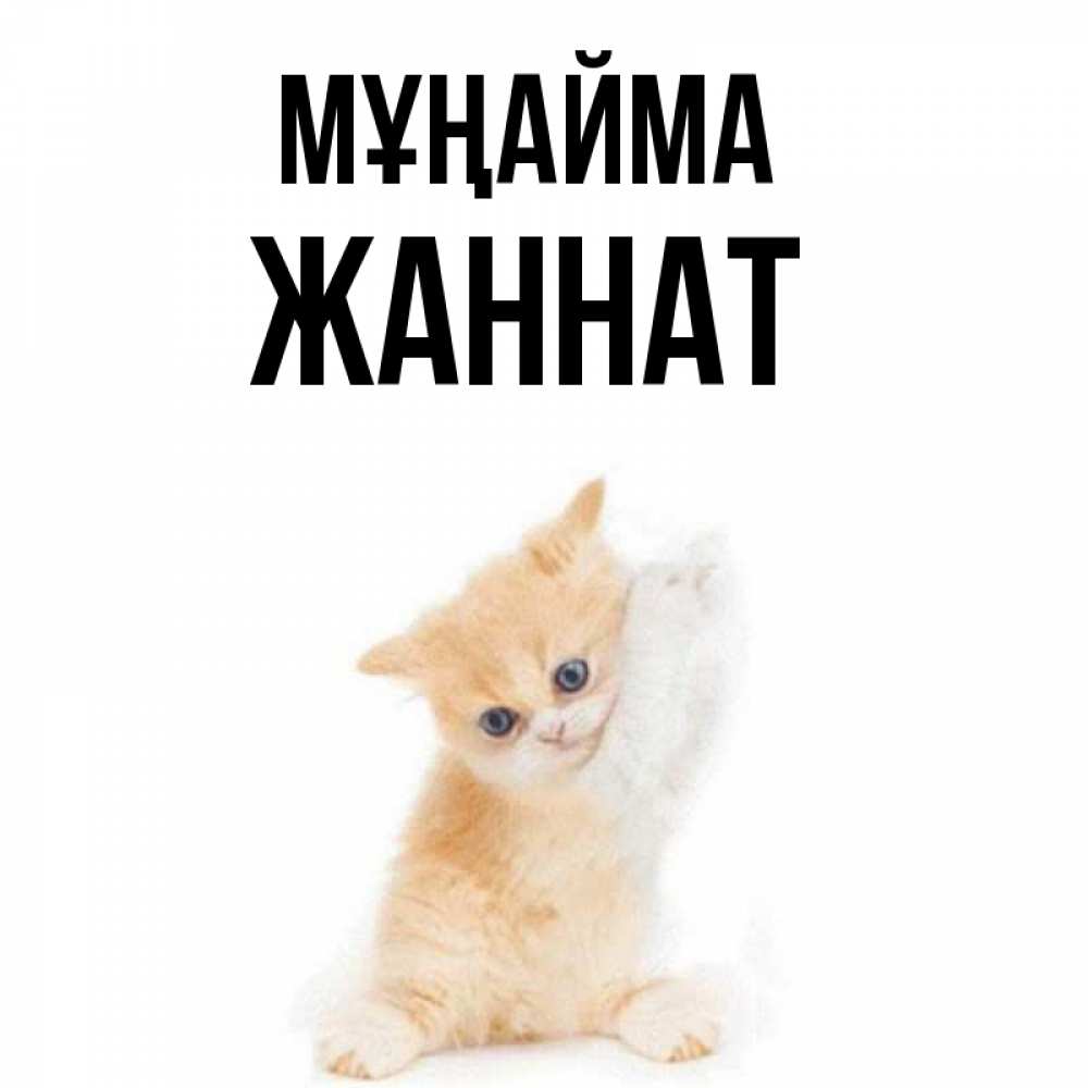 Күн сайын ашық хат с именем, ЖАННАТ Мұңайма просящий кот Онлайн тегін жүктеп алу тілектері бар керемет карта 