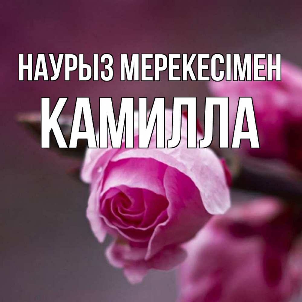Күн сайын ашық хат с именем, Камилла Наурыз мерекесімен весна Онлайн тегін жүктеп алу тілектері бар керемет карта 