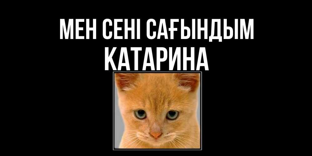 Күн сайын ашық хат с именем, Катарина Мен сені сағындым открытки рыжий котенок скучает по тебе Онлайн тегін жүктеп алу тілектері бар керемет карта 