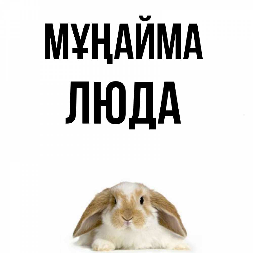 Күн сайын ашық хат с именем, Люда Мұңайма коричнево белый заяц с большими ушками Онлайн тегін жүктеп алу тілектері бар керемет карта 