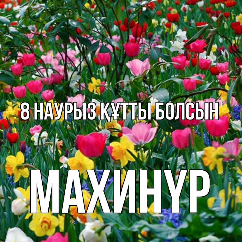 Күн сайын ашық хат с именем, МАХИНҮР 8 наурыз құтты болсын с международным женским днем поздравления для женщины Онлайн тегін жүктеп алу тілектері бар керемет карта 