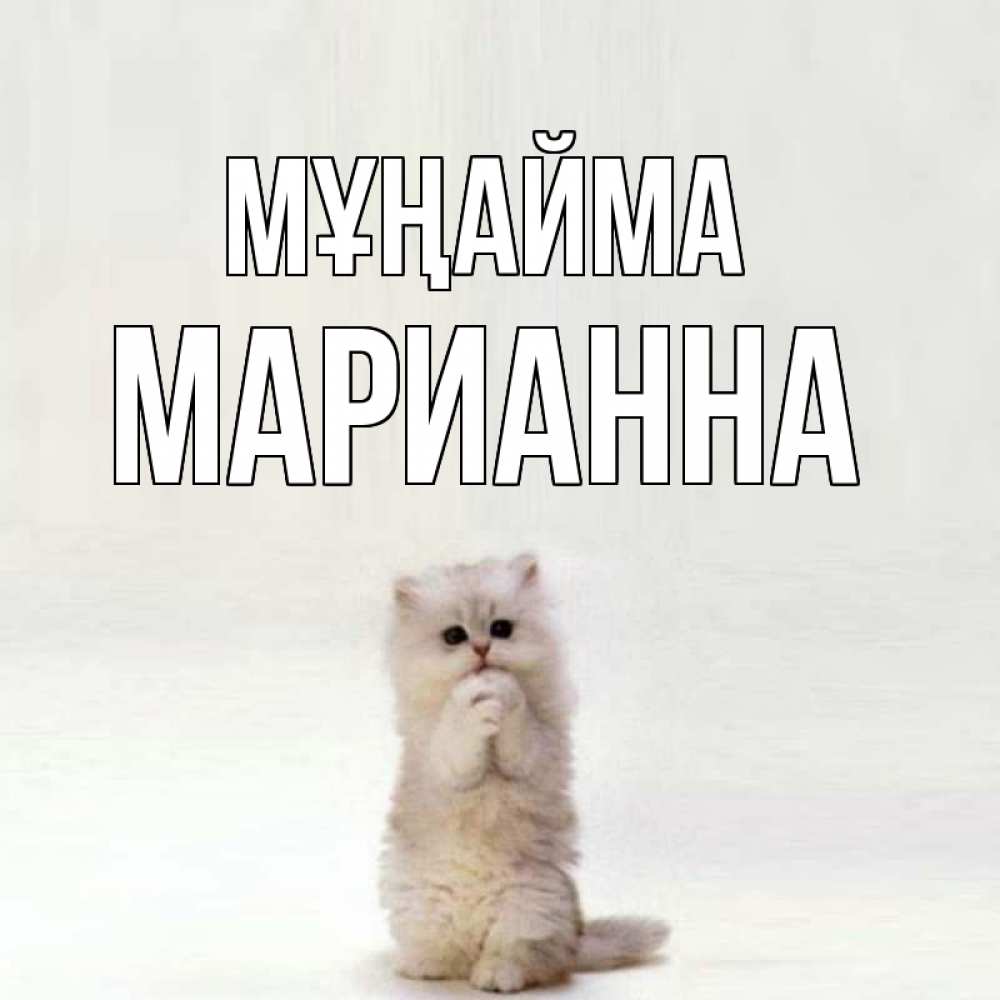 Күн сайын ашық хат с именем, Марианна Мұңайма грустный кот Онлайн тегін жүктеп алу тілектері бар керемет карта 