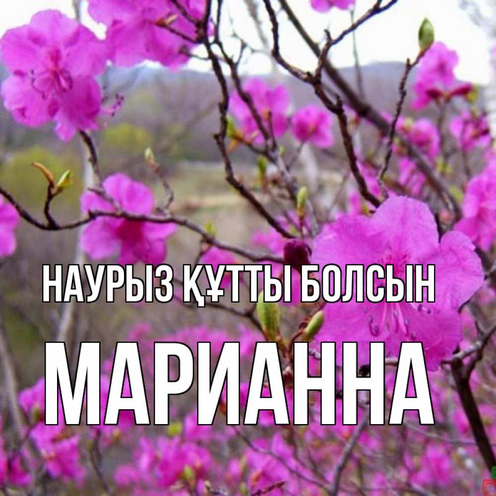 Күн сайын ашық хат с именем, Марианна Наурыз құтты болсын наурыз мейрамы кутты болсын Онлайн тегін жүктеп алу тілектері бар керемет карта 