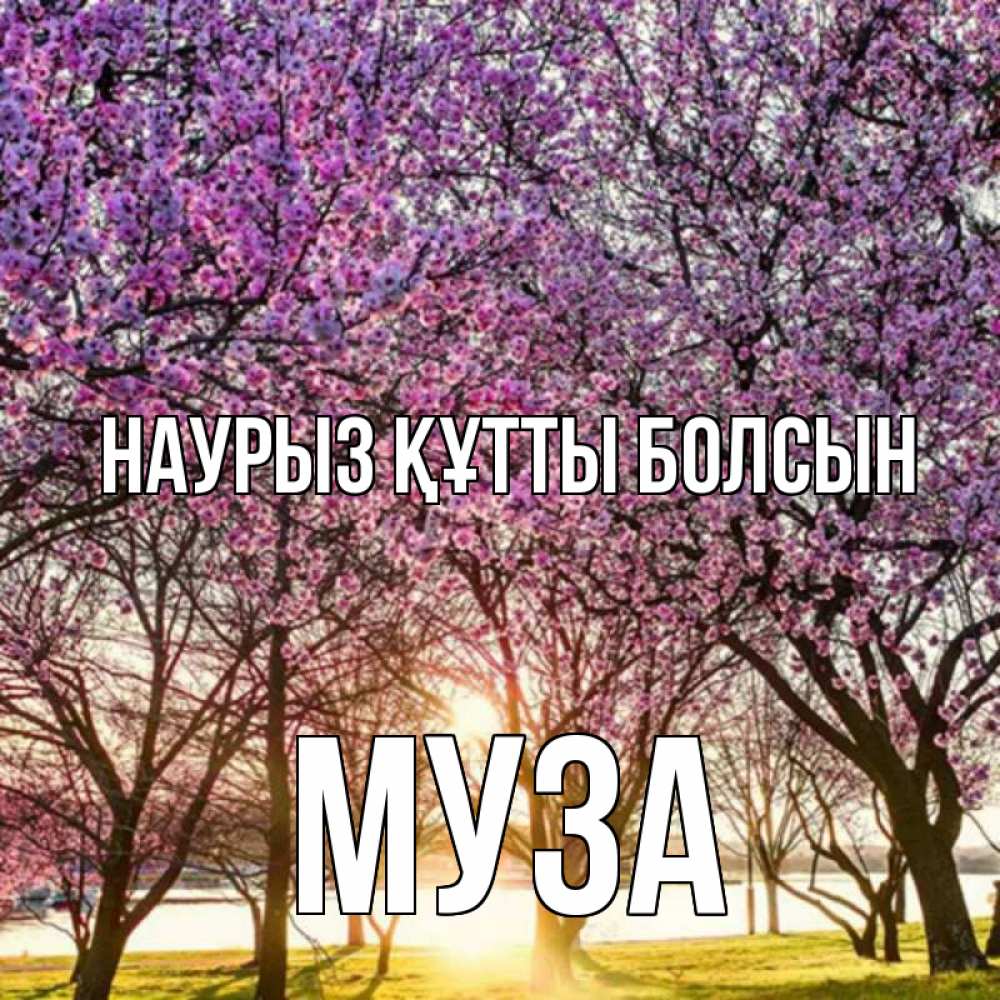 Күн сайын ашық хат с именем, Муза Наурыз құтты болсын наурыз Онлайн тегін жүктеп алу тілектері бар керемет карта 