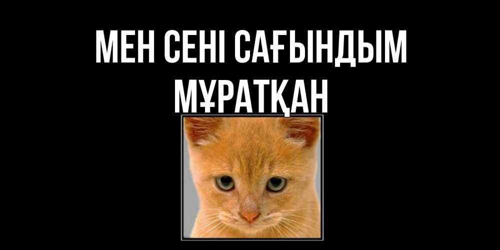 Күн сайын ашық хат с именем, Мұратқан Мен сені сағындым открытки рыжий котенок скучает по тебе Онлайн тегін жүктеп алу тілектері бар керемет карта 