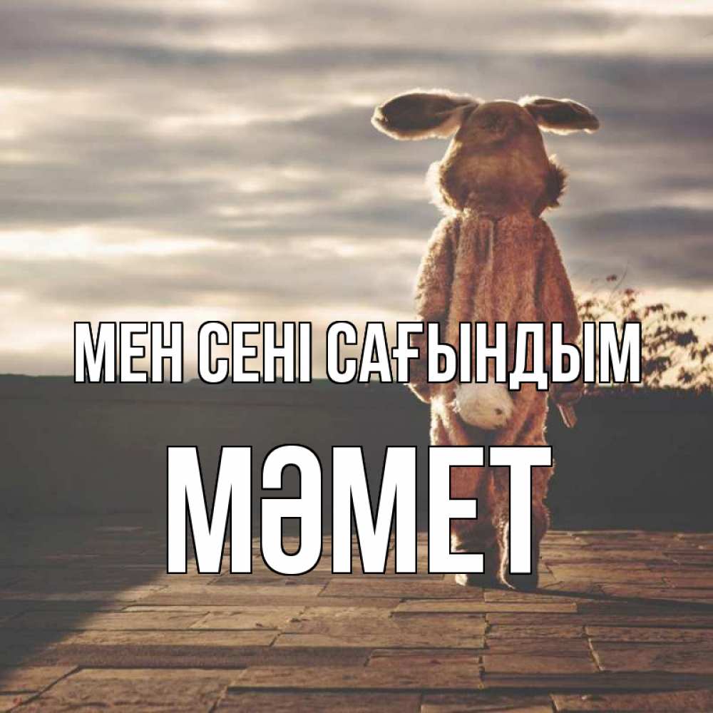 Күн сайын ашық хат с именем, Мәмет Мен сені сағындым даже в костюме зайца Онлайн тегін жүктеп алу тілектері бар керемет карта 