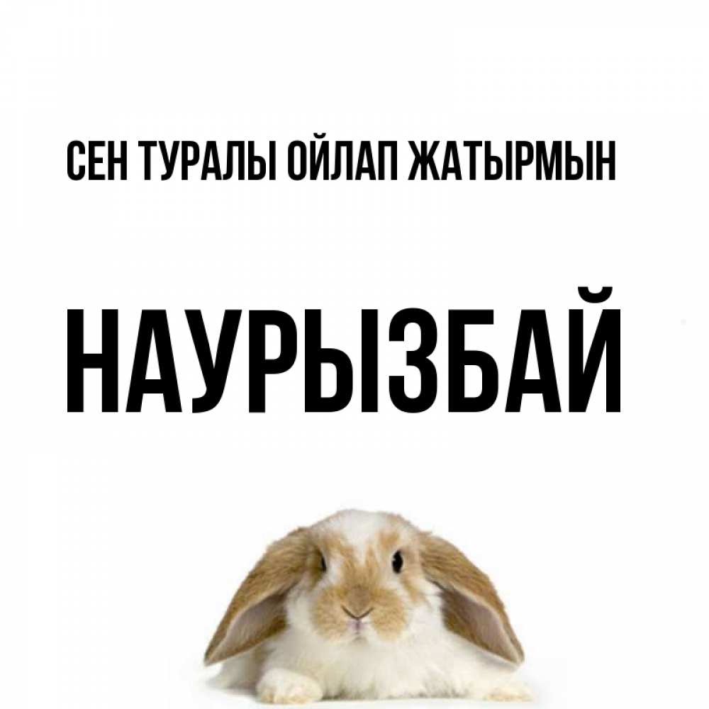 Күн сайын ашық хат с именем, Наурызбай Сен туралы ойлап жатырмын подписать своими руками онлайн Онлайн тегін жүктеп алу тілектері бар керемет карта 