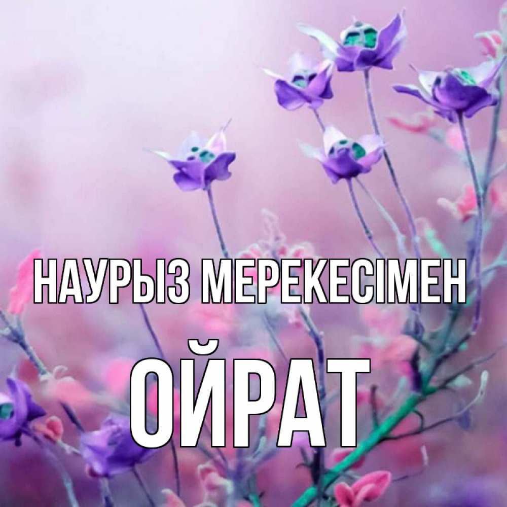 Күн сайын ашық хат с именем, ОЙРАТ Наурыз мерекесімен международный женский день 2 Онлайн тегін жүктеп алу тілектері бар керемет карта 