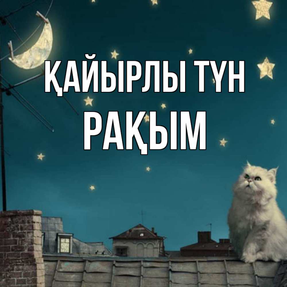 Күн сайын ашық хат с именем, РАҚЫМ Қайырлы түн белый кот сидит на крыше Онлайн тегін жүктеп алу тілектері бар керемет карта 