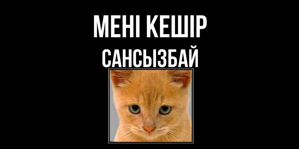 Күн сайын ашық хат с именем, САНСЫЗБАЙ Мені кешір рыжий грустный кот просит прощения Онлайн тегін жүктеп алу тілектері бар керемет карта 