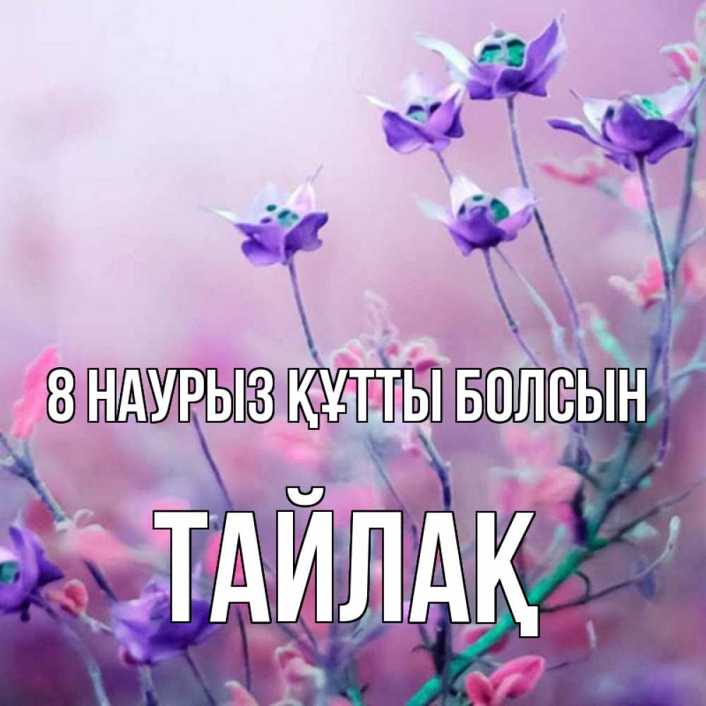 Күн сайын ашық хат с именем, ТАЙЛАҚ 8 наурыз құтты болсын международный женский день 2 Онлайн тегін жүктеп алу тілектері бар керемет карта 