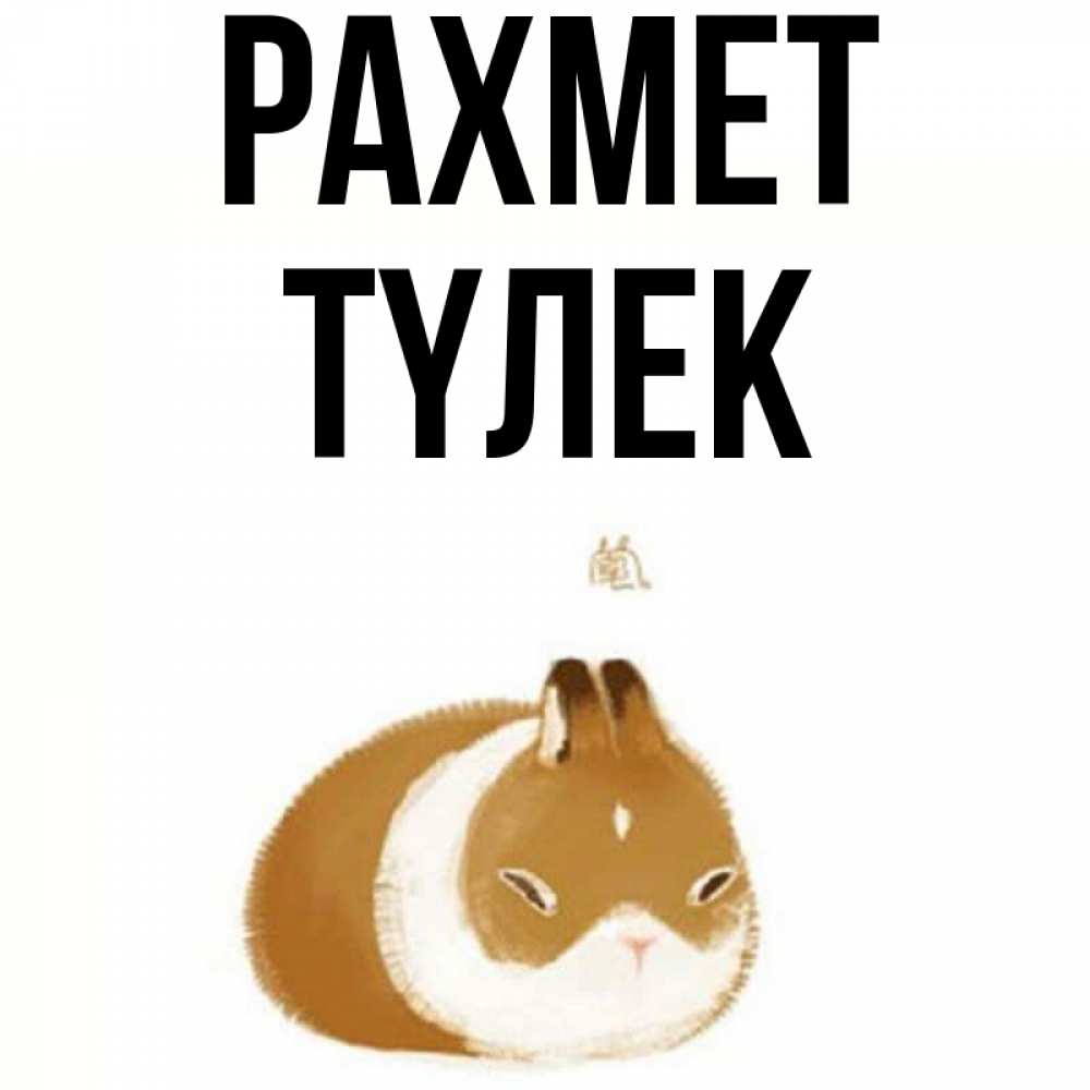 Күн сайын ашық хат с именем, ТҮЛЕК рахмет коричнево белый домашний питомец Онлайн тегін жүктеп алу тілектері бар керемет карта 