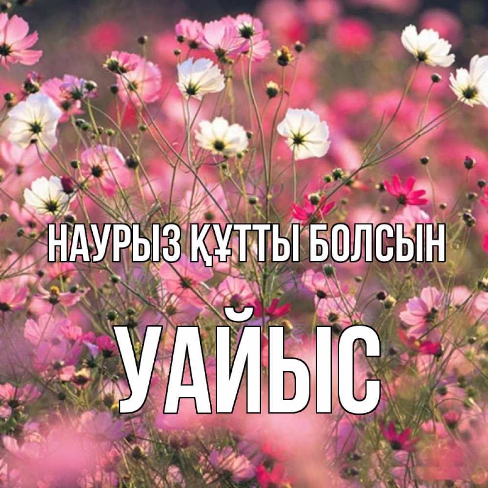 Күн сайын ашық хат с именем, УАЙЫС Наурыз құтты болсын красиво 1 Онлайн тегін жүктеп алу тілектері бар керемет карта 