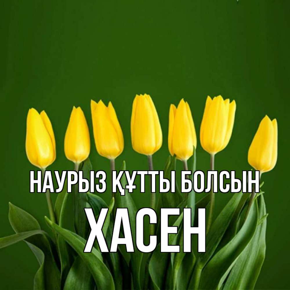 Күн сайын ашық хат с именем, ХАСЕН Наурыз құтты болсын желтого цвета 3 Онлайн тегін жүктеп алу тілектері бар керемет карта 