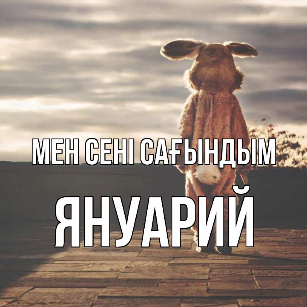Күн сайын ашық хат с именем, Януарий Мен сені сағындым даже в костюме зайца Онлайн тегін жүктеп алу тілектері бар керемет карта 