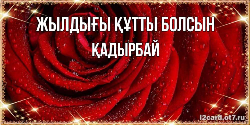 Күн сайын ашық хат с именем, Қадырбай Жылдығы құтты болсын роса на розе блестящая в лучах солнца Онлайн тегін жүктеп алу тілектері бар керемет карта 