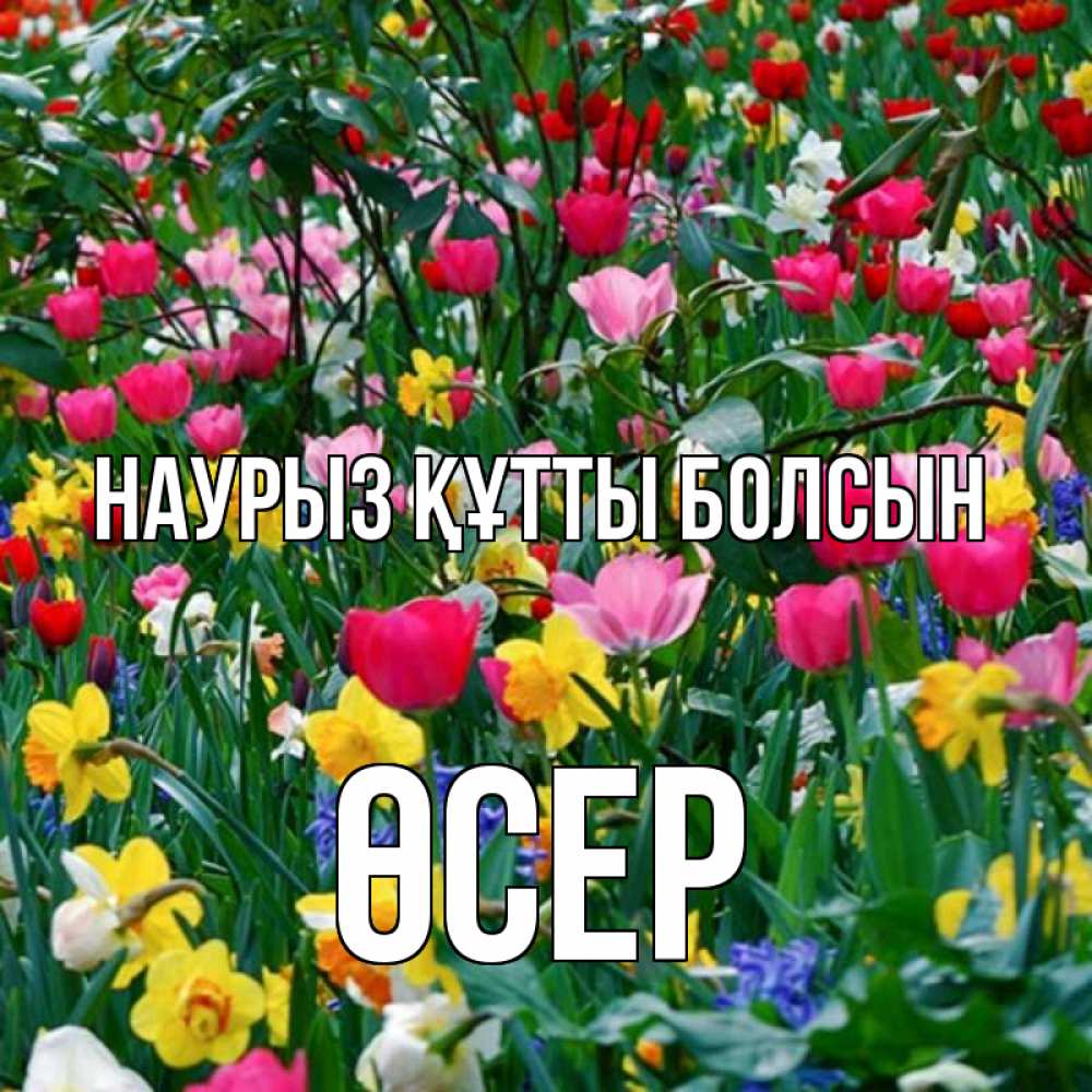 Күн сайын ашық хат с именем, ӨСЕР Наурыз құтты болсын с наурызом поздравления для женщины Онлайн тегін жүктеп алу тілектері бар керемет карта 