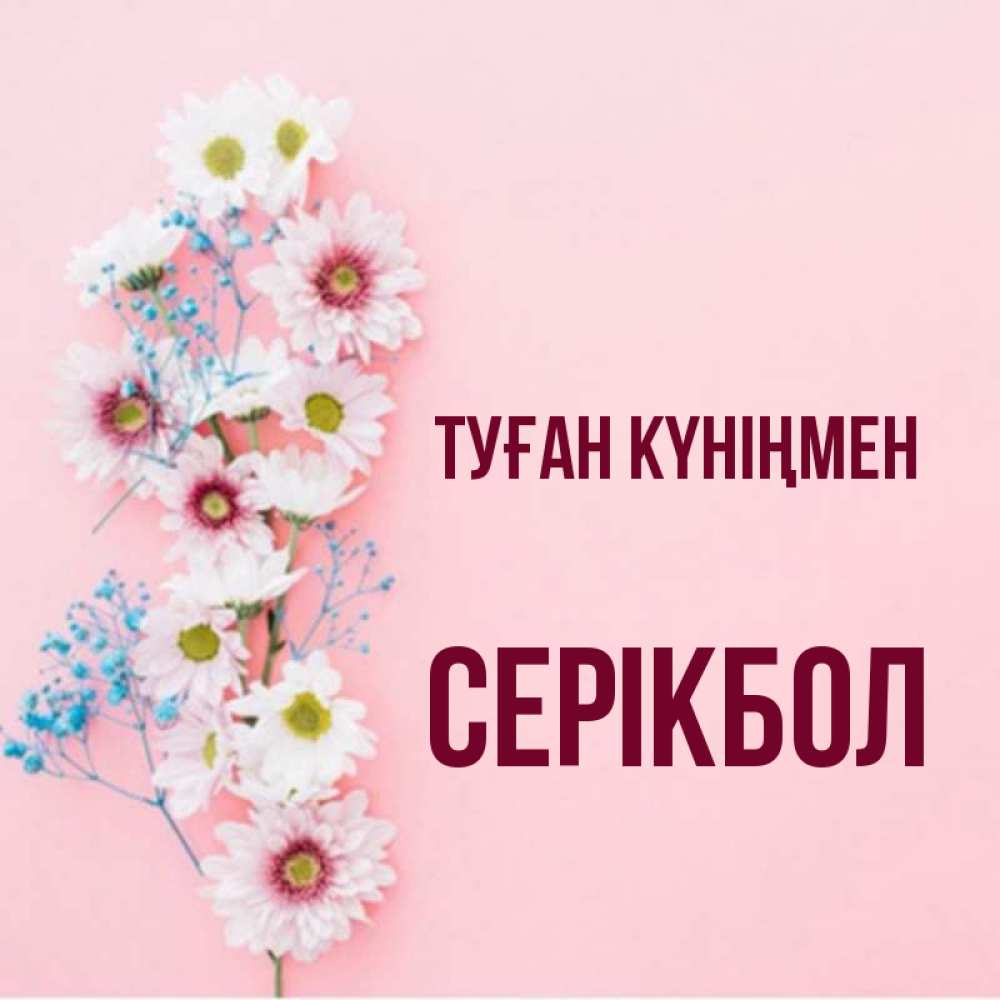Күн сайын ашық хат с именем, СЕРІКБОЛ Туған күніңмен Родная моя с днем рождения тебя картинка с цветами белыми и голубыми Онлайн тегін жүктеп алу тілектері бар керемет карта 