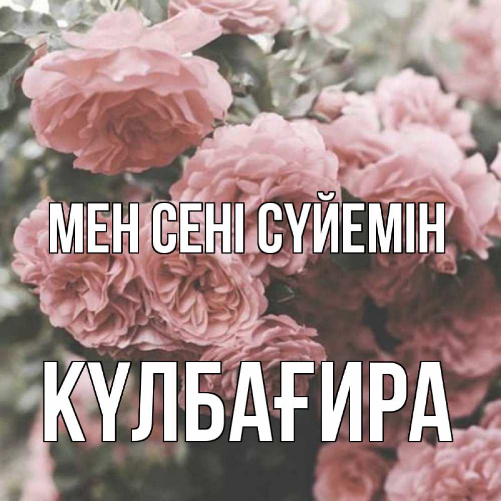 Күн сайын ашық хат с именем, КҮЛБАҒИРА Мен сені сүйемін розы 3 Онлайн тегін жүктеп алу тілектері бар керемет карта 