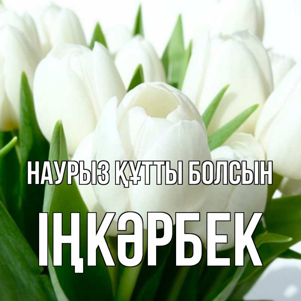 Күн сайын ашық хат с именем, ІҢКӘРБЕК Наурыз құтты болсын цветы Онлайн тегін жүктеп алу тілектері бар керемет карта 