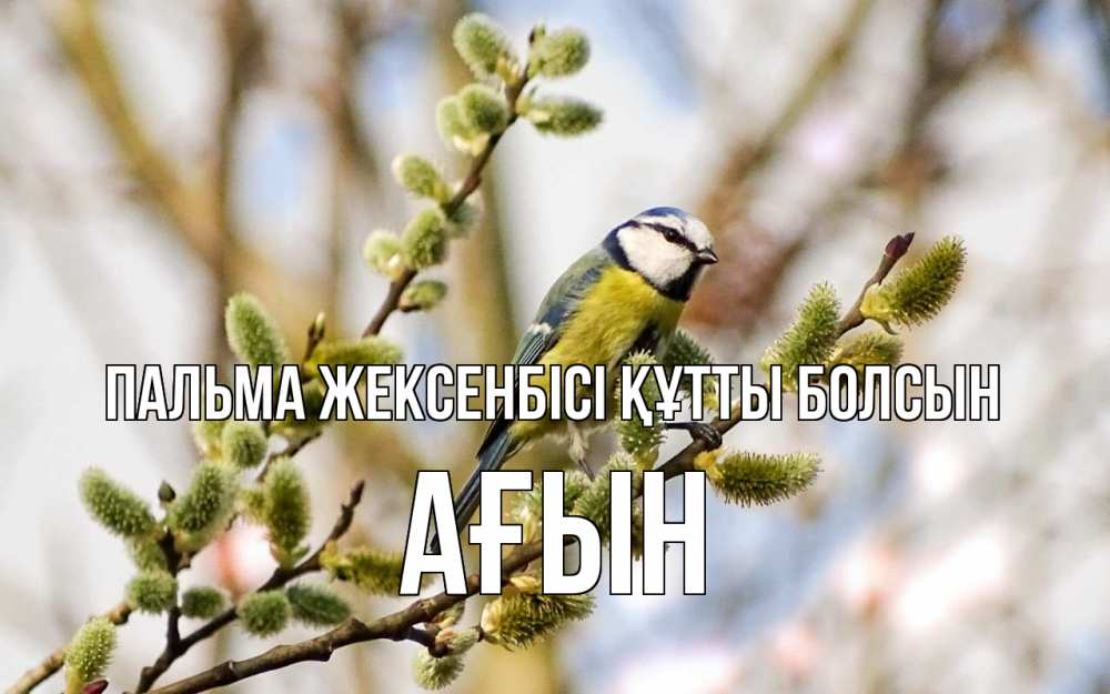 Күн сайын ашық хат с именем, Ағын Пальма жексенбісі құтты болсын верба Онлайн тегін жүктеп алу тілектері бар керемет карта 