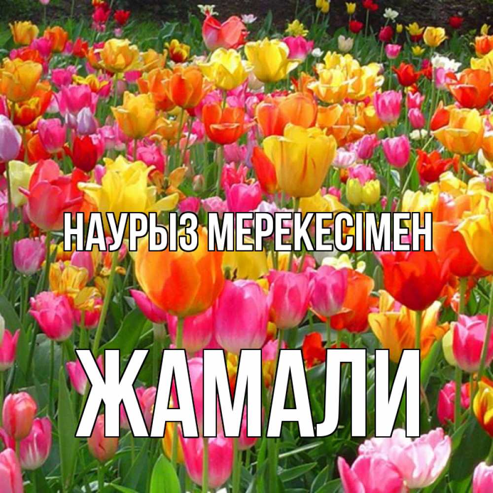 Күн сайын ашық хат с именем, ЖАМАЛИ Наурыз мерекесімен праздник весны наурыз 4 Онлайн тегін жүктеп алу тілектері бар керемет карта 