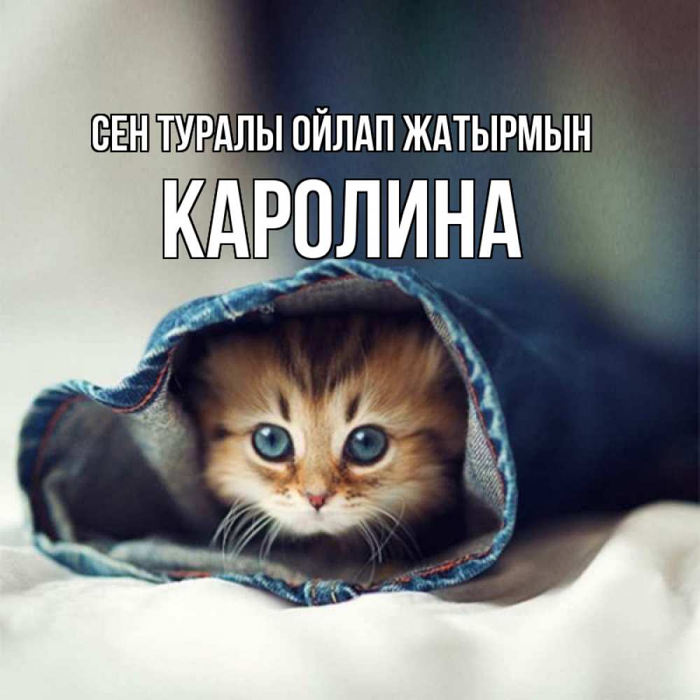 Күн сайын ашық хат с именем, Каролина Сен туралы ойлап жатырмын мне без тебя плохо Онлайн тегін жүктеп алу тілектері бар керемет карта 
