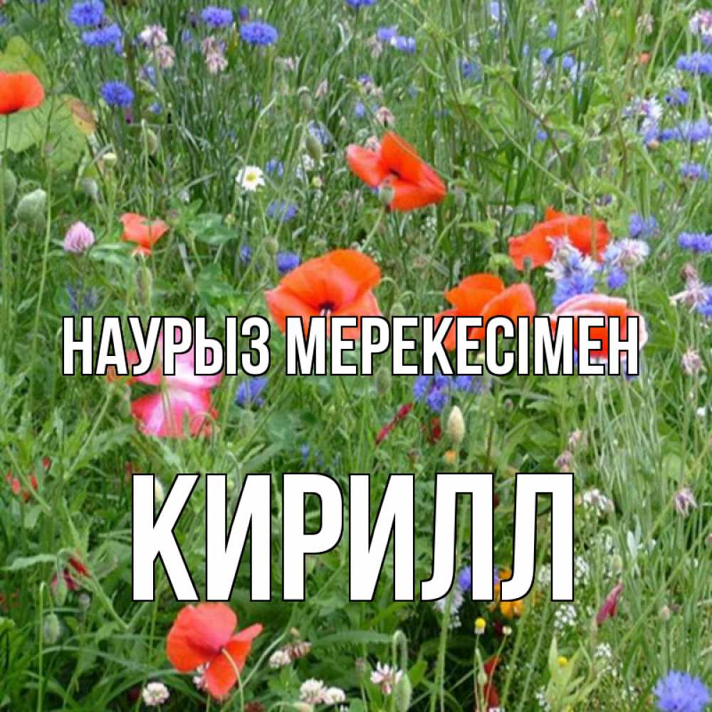 Күн сайын ашық хат с именем, Кирилл Наурыз мерекесімен праздник весны наурыз супер открытка Онлайн тегін жүктеп алу тілектері бар керемет карта 