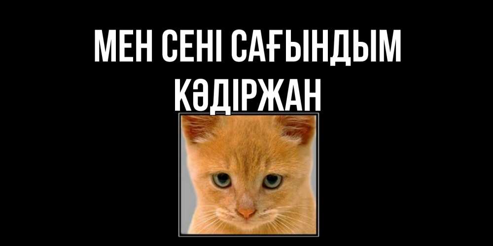 Күн сайын ашық хат с именем, Кәдіржан Мен сені сағындым открытки рыжий котенок скучает по тебе Онлайн тегін жүктеп алу тілектері бар керемет карта 