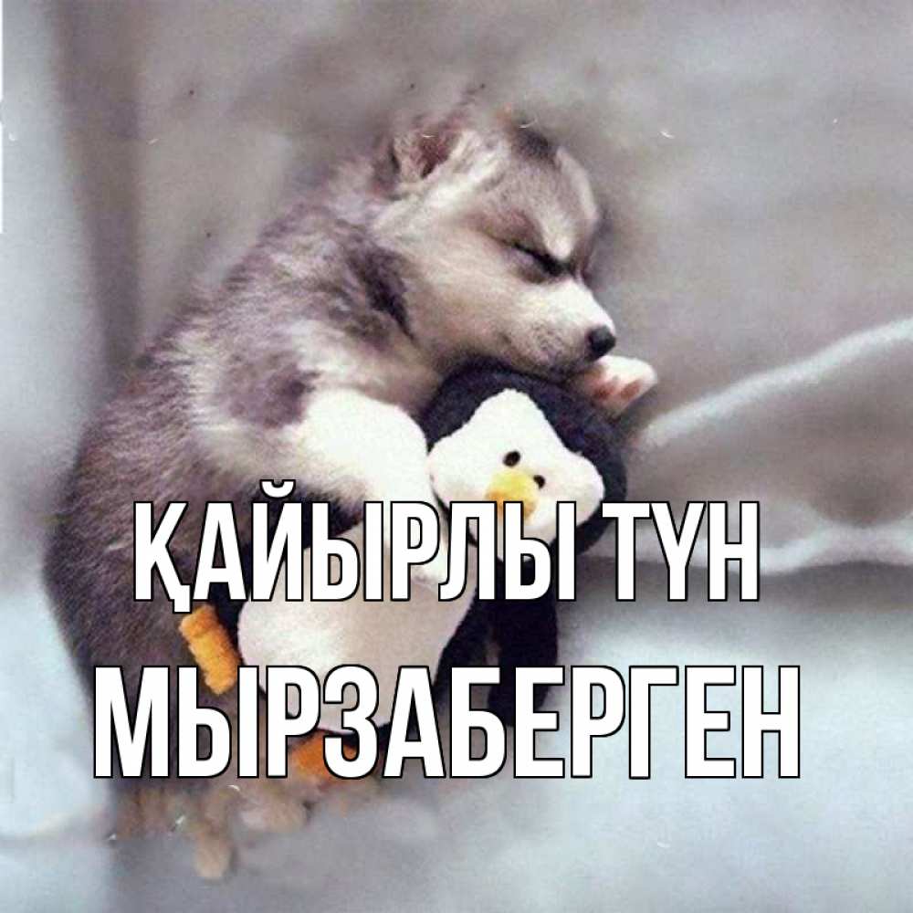 Күн сайын ашық хат с именем, Мырзаберген Қайырлы түн обнимашки щенка и пингвина Онлайн тегін жүктеп алу тілектері бар керемет карта 