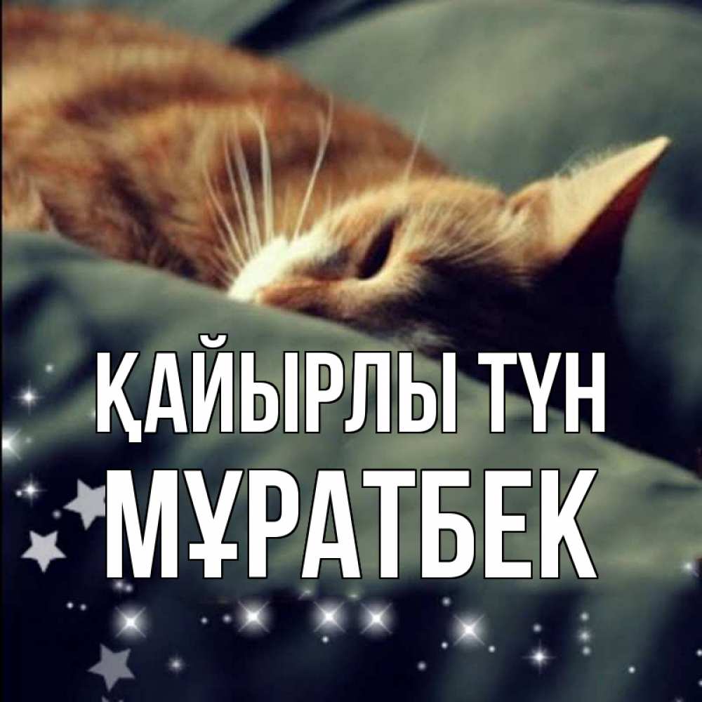 Күн сайын ашық хат с именем, Мұратбек Қайырлы түн кроватка Онлайн тегін жүктеп алу тілектері бар керемет карта 