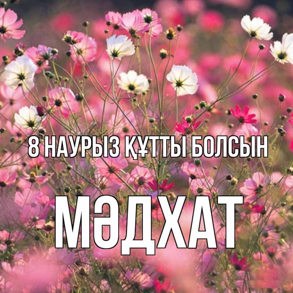Күн сайын ашық хат с именем, МӘДХАТ 8 наурыз құтты болсын красиво 1 Онлайн тегін жүктеп алу тілектері бар керемет карта 
