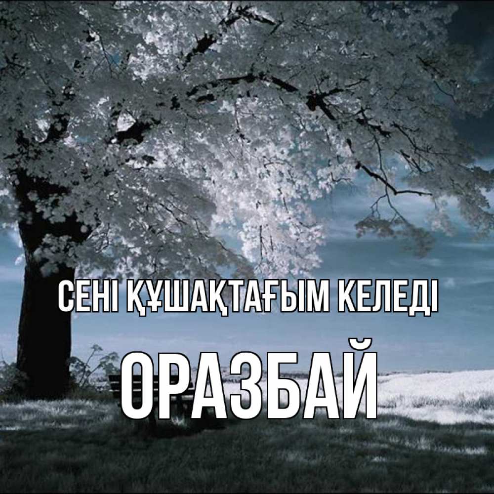 Күн сайын ашық хат с именем, ОРАЗБАЙ сені құшақтағым келеді дерево Онлайн тегін жүктеп алу тілектері бар керемет карта 