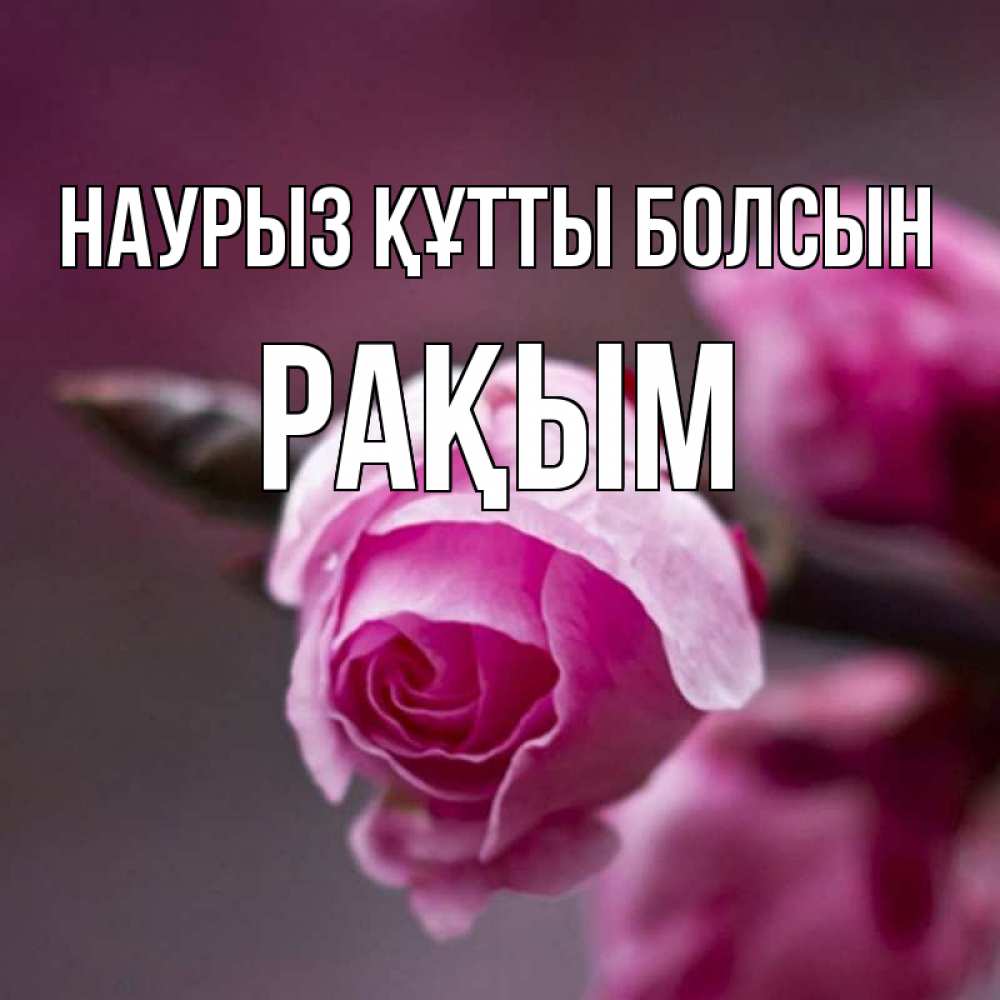 Күн сайын ашық хат с именем, РАҚЫМ Наурыз құтты болсын весна Онлайн тегін жүктеп алу тілектері бар керемет карта 