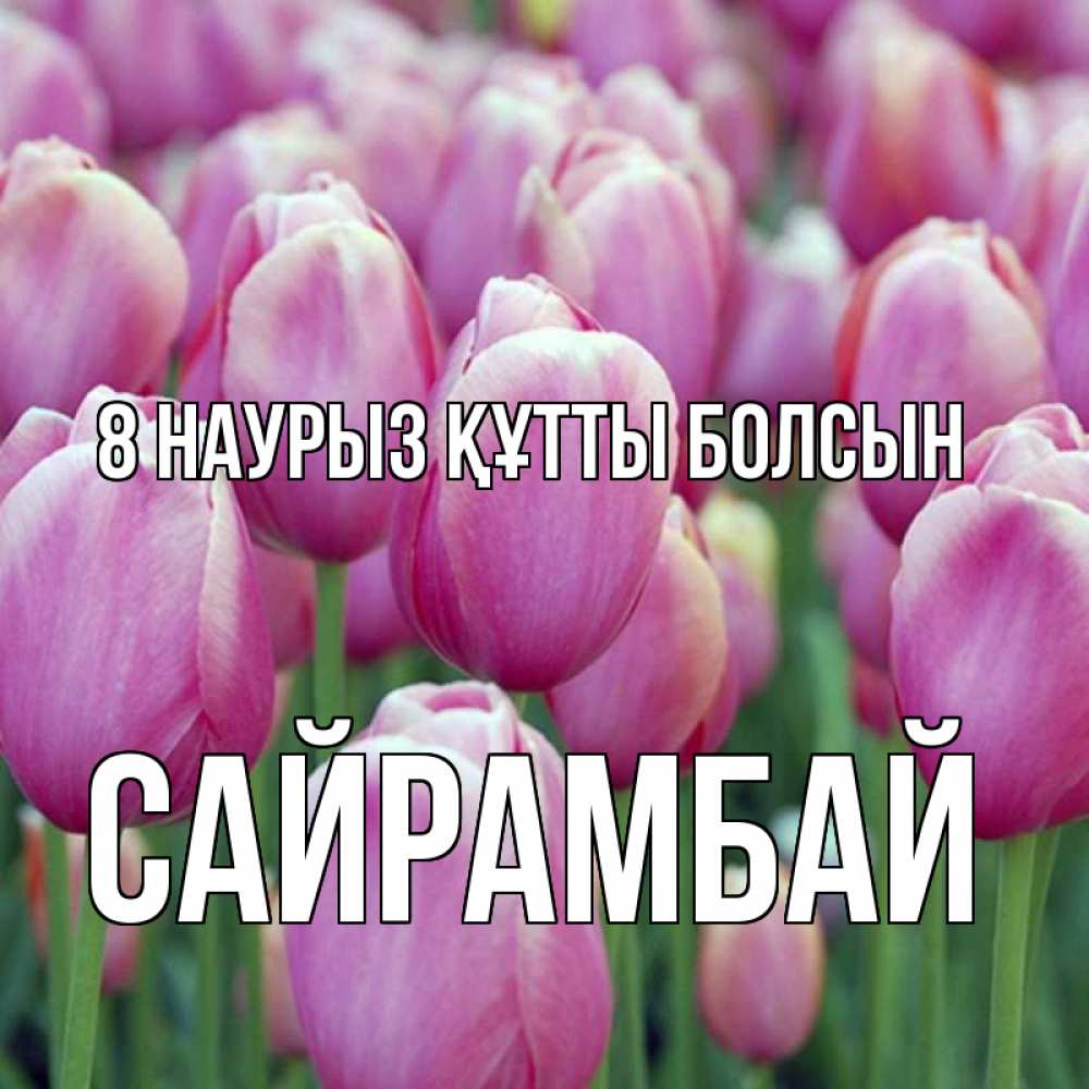 Күн сайын ашық хат с именем, САЙРАМБАЙ 8 наурыз құтты болсын на международный женский день 3 Онлайн тегін жүктеп алу тілектері бар керемет карта 