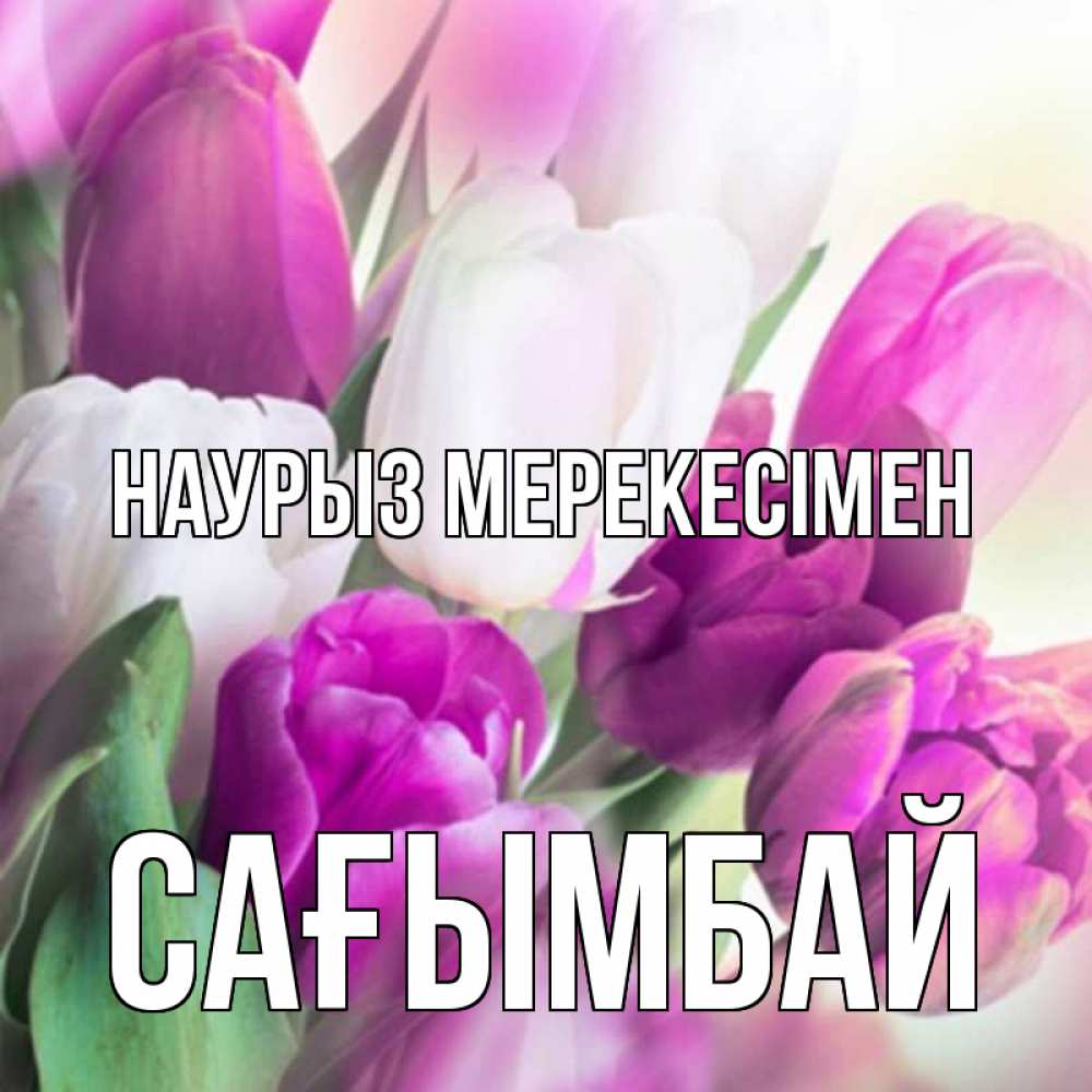Күн сайын ашық хат с именем, Сағымбай Наурыз мерекесімен весна 1 Онлайн тегін жүктеп алу тілектері бар керемет карта 