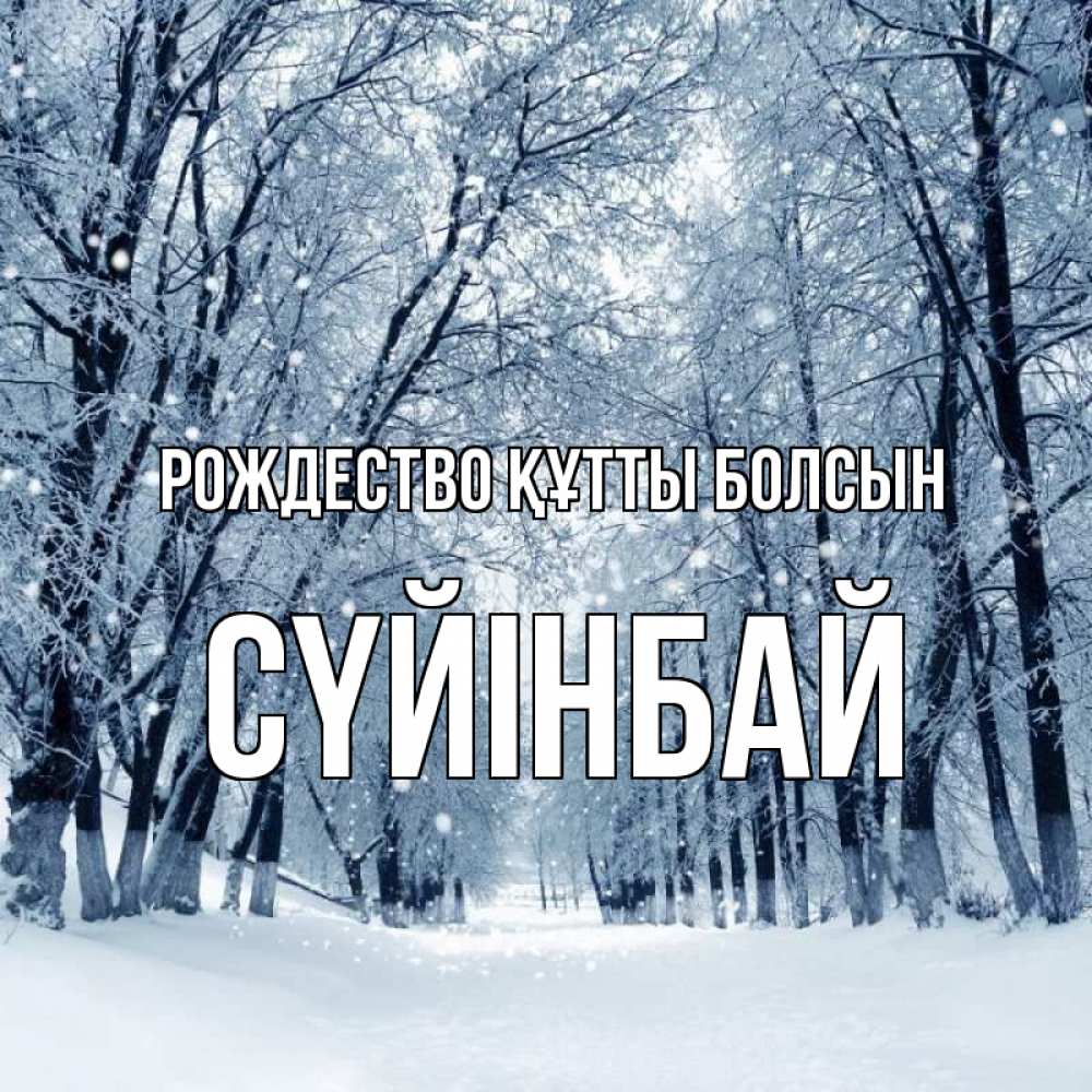 Күн сайын ашық хат с именем, СҮЙІНБАЙ Рождество құтты болсын снег, лес, парк Онлайн тегін жүктеп алу тілектері бар керемет карта 