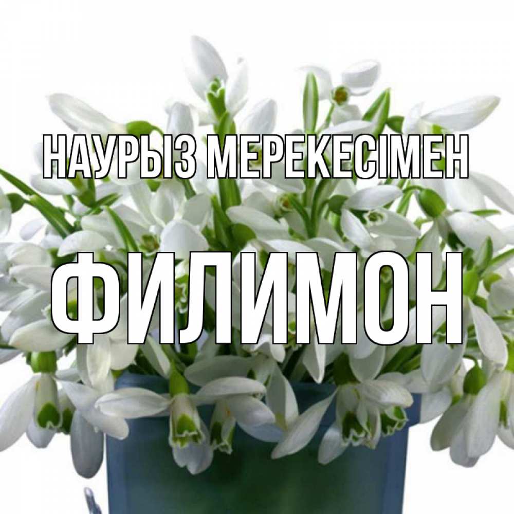 Күн сайын ашық хат с именем, Филимон Наурыз мерекесімен цветы к наурызу новый год в Казахстане Онлайн тегін жүктеп алу тілектері бар керемет карта 